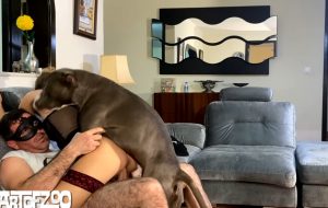 Girl sex with dog is just the hottest thing