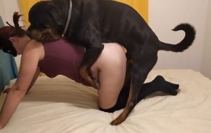 Passionate animals porn with hot fucking