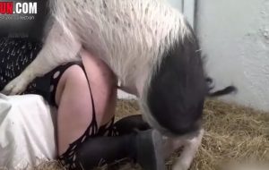 Pig punishing this hottie’s super-wet slit